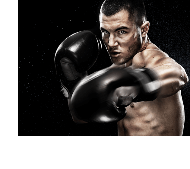 Fédération Française des Arts Martiaux et Sports de Combat Mix Fighting System France