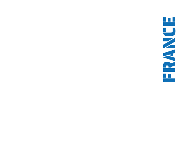 Compétition organisée par la Fédération Mix Fighting System France