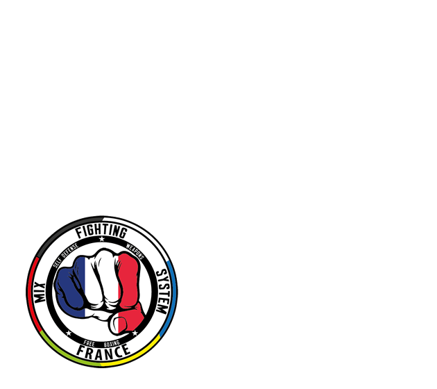 Entraînement de groupe avec la Fédération Mix Fighting System France