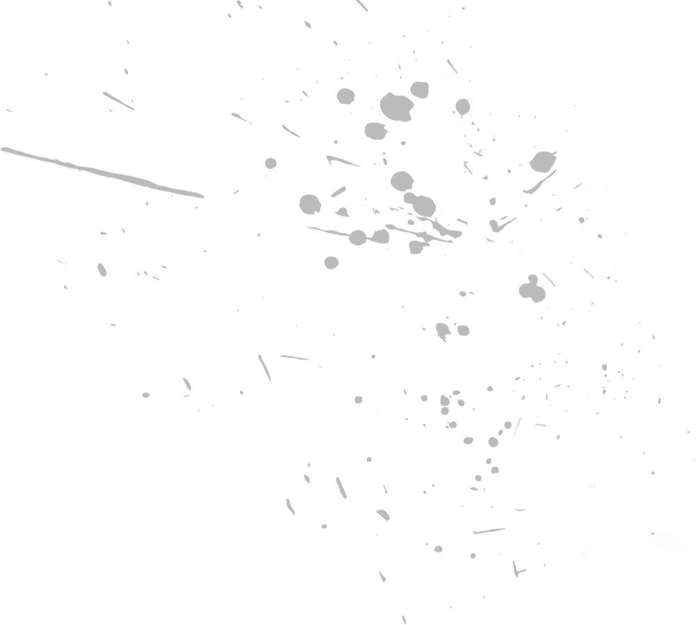 Les 5 ligues de la fédération MFS France sports de combat et arts martiaux