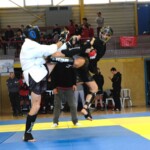 Adhésion à la fédération Mix Fighting System France pour les clubs de boxe thaï