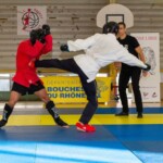 Rejoignez Mix Fighting System France pour développer votre club de MMA