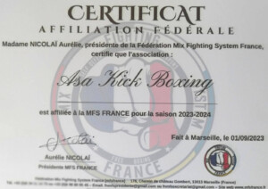 Associations et clubs de sports de combat et arts martiaux, k1