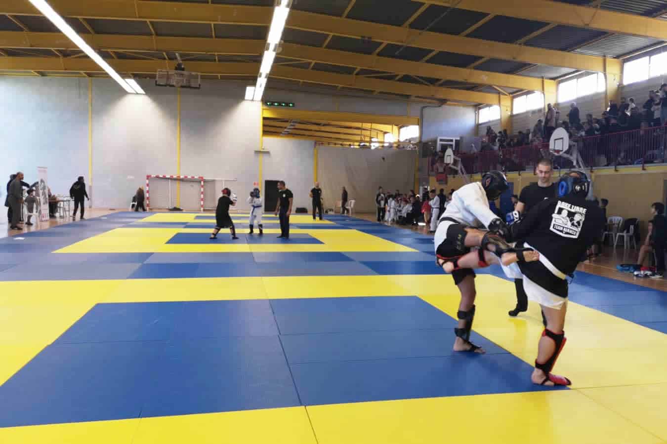 Programme DAF pour animateur fédéral en arts martiaux