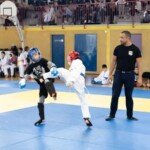 Pratique du kung-fu avec mouvements fluides