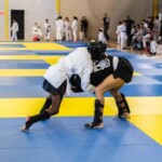 Séance de capoeira avec mouvements acrobatiques