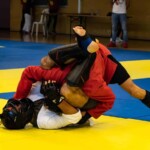 Démonstration de maniement du bâton en escrime