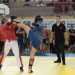 Adhésion à la fédération Mix Fighting System France pour les clubs de self-défense