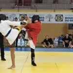 Mix Fighting System France : avantages pour les clubs de jiu-jitsu brésilien