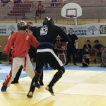 Affiliation pour associations de kendo avec Mix Fighting System France