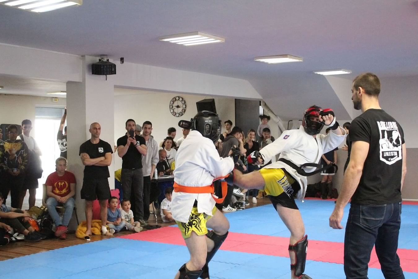 Mix Fighting System France : pourquoi adhérer pour les clubs de kalaripayat