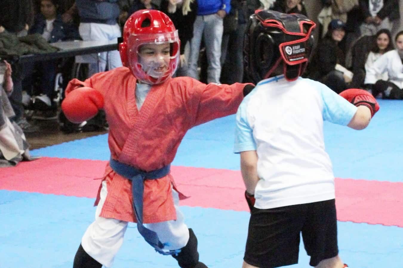 Mix Fighting System France : adhésion pour clubs de ninjutsu