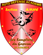 Techniques de combat avec armes anciennes à la MFS-FRANCE